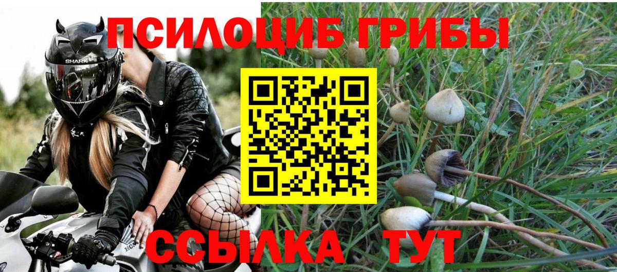 Галлюциногенные грибы Psilocybe  Вход с VPN  Кудрово 