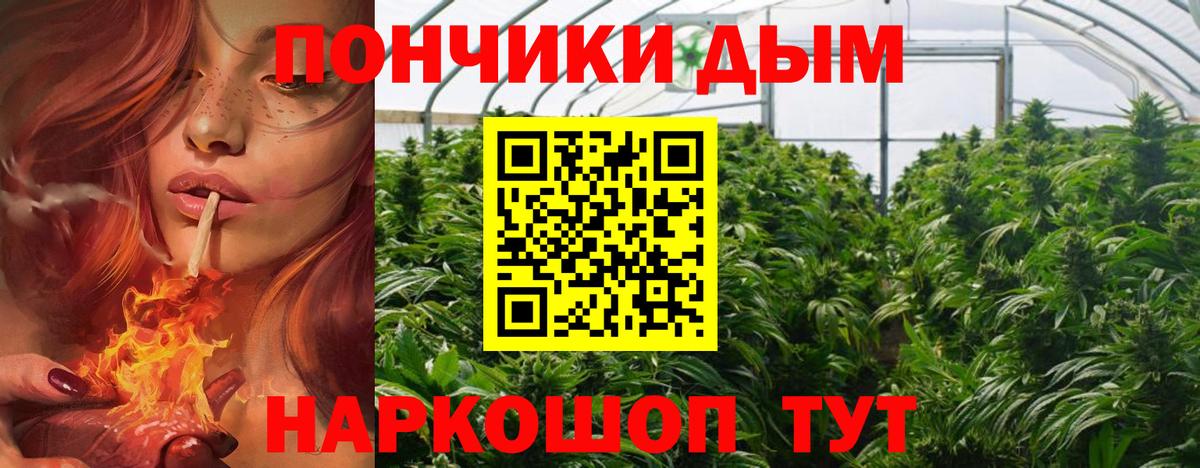 Канабис Ganja  Вход с VPN  Каннабис план  Канабис Ganja  МАРИХУАНА марихуана  Кудрово 